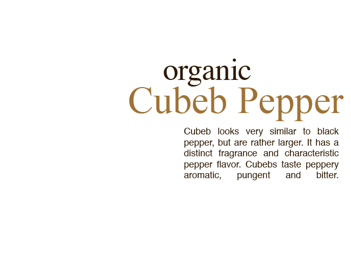 cubeb-txt-new ujung cubeb-txt-new ujung