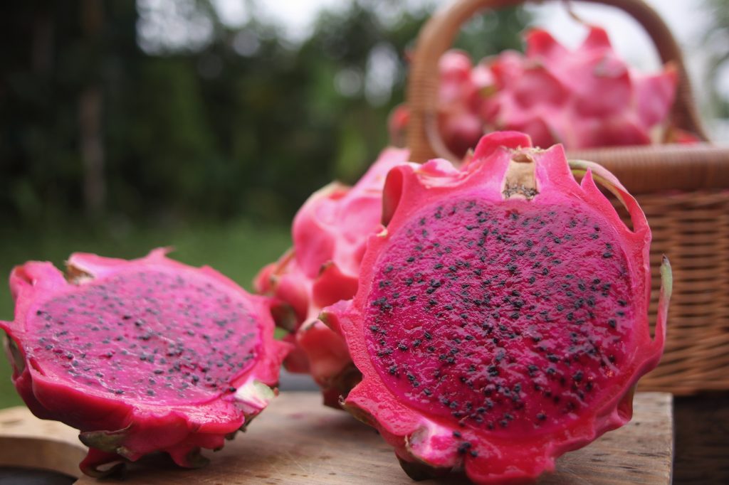 Dragon Fruit : The Nutritious Fruit With Scaly Skin – MIO